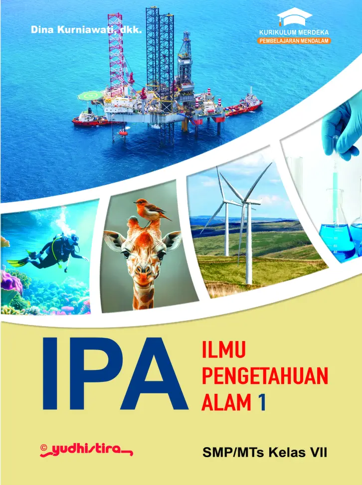IPA SMP/MTs